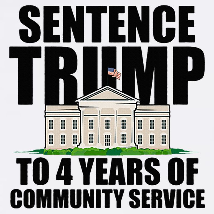 Sentence Trump To 4 Years Of Community Service Baby Bodysuit