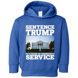 Sentence Trump To 4 Years Of Community Service White House Toddler Hoodie