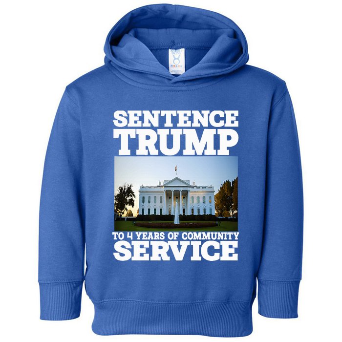 Sentence Trump To 4 Years Of Community Service White House Toddler Hoodie