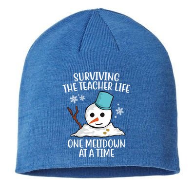 Surviving The Teacher Life One Meltdown At A Time Funny Holiday Sustainable Beanie