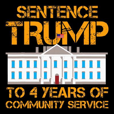Sentence Trump To 4 Years Of Community Service T-Shirt