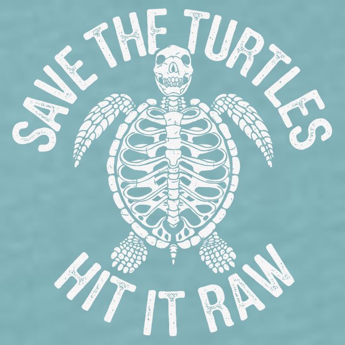 Save The Turtles Hit It Raw Funny Save The Planet Sueded Cloud Jersey T-Shirt