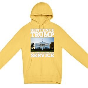 Sentence Trump To 4 Years Of Community Service White House Premium Pullover Hoodie