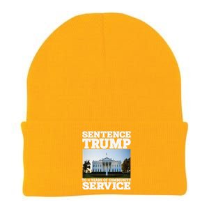 Sentence Trump To 4 Years Of Community Service White House Knit Cap Winter Beanie