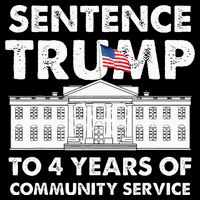 Sentence Trump To 4 Years Of Community Service Trump 16 in Basic Backpack