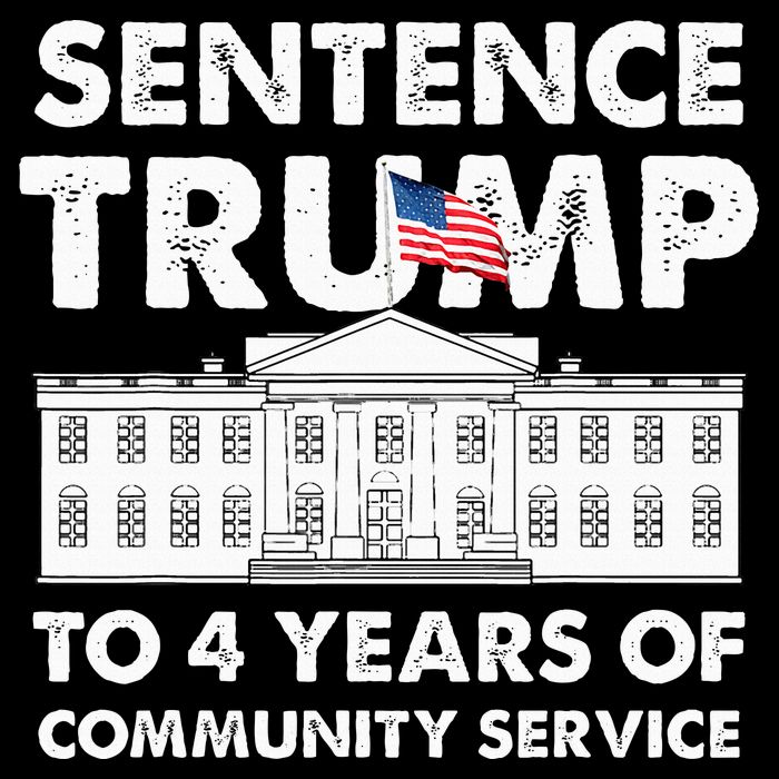 Sentence Trump To 4 Years Of Community Service Trump 16 in Basic Backpack