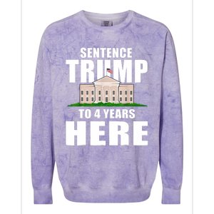 Sentence Trump To 4 Years Here Trump 2024 Funny 4th Of July Colorblast Crewneck Sweatshirt