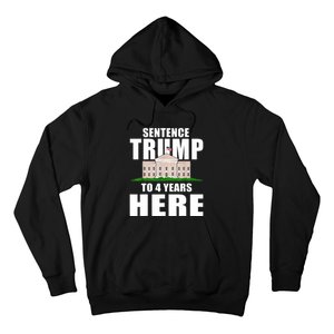 Sentence Trump To 4 Years Here Trump 2024 Funny 4th Of July Hoodie