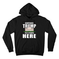 Sentence Trump To 4 Years Here Trump 2024 Funny 4th Of July Hoodie