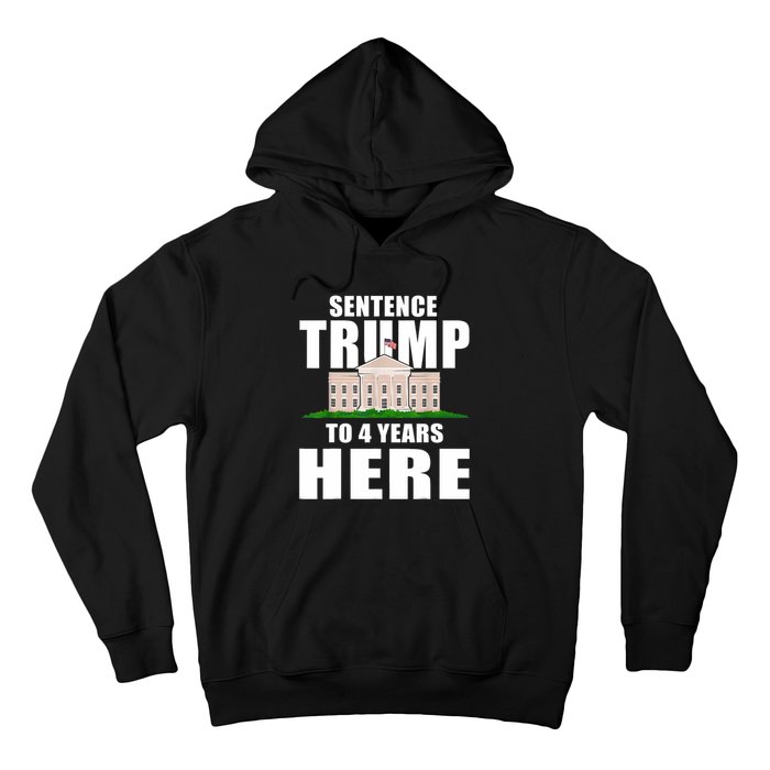 Sentence Trump To 4 Years Here Trump 2024 Funny 4th Of July Hoodie