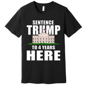 Sentence Trump To 4 Years Here Trump 2024 Funny 4th Of July Premium T-Shirt