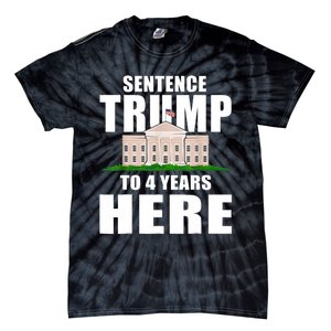 Sentence Trump To 4 Years Here Trump 2024 Funny 4th Of July Tie-Dye T-Shirt