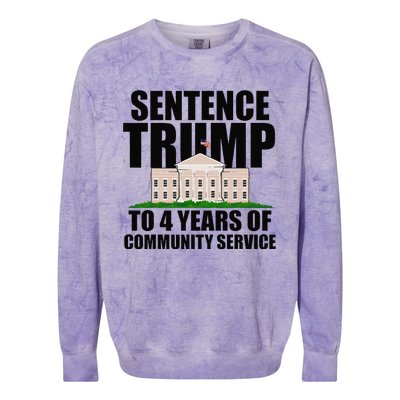 Sentence Trump To 4 Years Of Community Service Colorblast Crewneck Sweatshirt