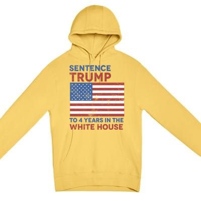 Sentence Trump To 4 Years In The White House Funny Gift Premium Pullover Hoodie