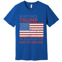 Sentence Trump To 4 Years In The White House Funny Gift Premium T-Shirt