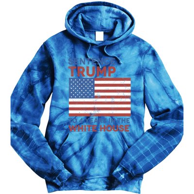 Sentence Trump To 4 Years In The White House Funny Gift Tie Dye Hoodie