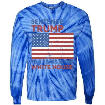 Sentence Trump To 4 Years In The White House Funny Gift Tie-Dye Long Sleeve Shirt