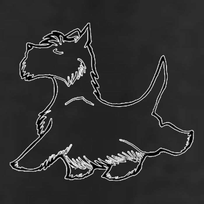 Scottish Terrier Tough Enough To Rock A Beard And Skirt 15oz Campfire Ceramic Mug