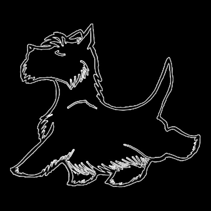 Scottish Terrier Tough Enough To Rock A Beard And Skirt Women's Crop Top Tee