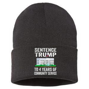 Sentence Trump To 4 Years Of Community Service Political Sustainable Knit Beanie