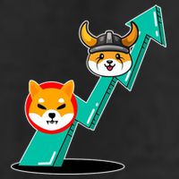 Shiba To The Moon Chart Hat