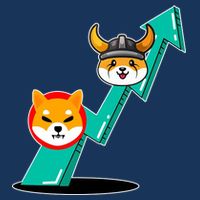 Shiba To The Moon Chart Youth Performance Sprint T-Shirt