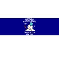 Surviving The Teacher Life One Meltdown At A Time Snowman Bumper Sticker