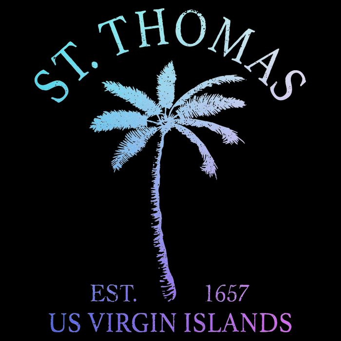 St. Thomas Us Virgin Islands Usvi Vintage Toddler T-Shirt