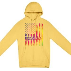 Sped Teacher Us Flag Special Education Teacher Gift Premium Pullover Hoodie