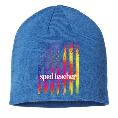 Sped Teacher Us Flag Special Education Teacher Gift Sustainable Beanie