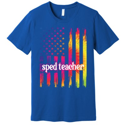 Sped Teacher Us Flag Special Education Teacher Gift Premium T-Shirt