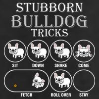 Stubborn Bulldog Tricks Tumbler