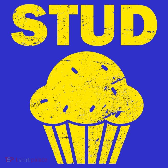 Stud Muffin Funny Retro Hoodie