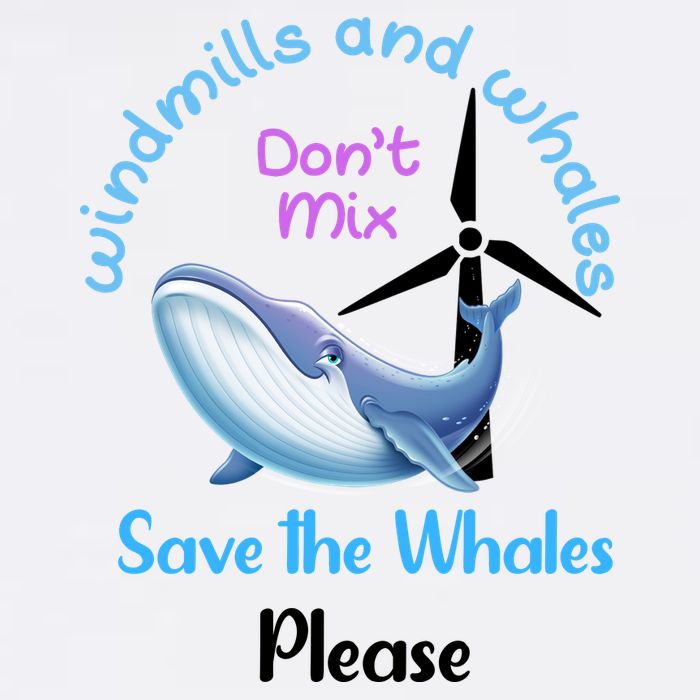 Save The Whales From Windmills In The Sea And Ocean Design Gift Wool Snapback Cap