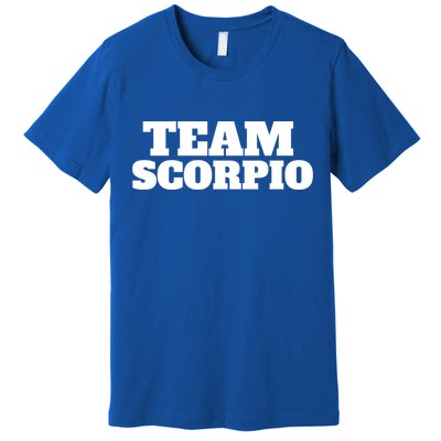 Scorpio Team Zodiac Astrology Horoscope Gift Premium T-Shirt