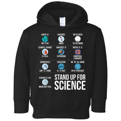 Stand Up For Science Toddler Hoodie