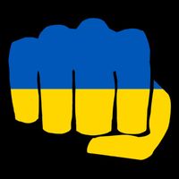 Support Ukraine Flag Fist 16 in Basic Backpack