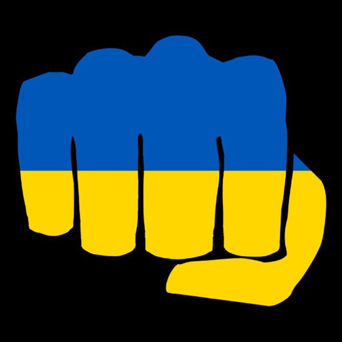 Support Ukraine Flag Fist 16 in Basic Backpack