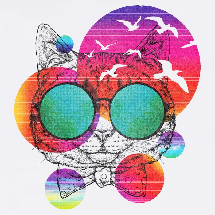 Summer Cat Trucker Hat