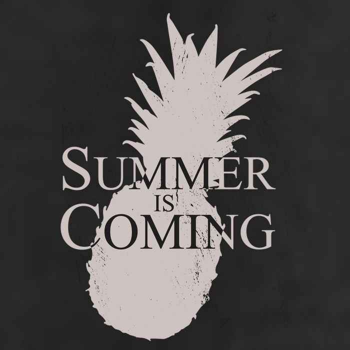 Summer Is Coming Pineapple Adult Drive Performance Visor