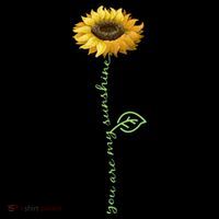 You Are My Sunshine Hippie Sunflower Tall T-Shirt