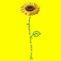 You Are My Sunshine Hippie Sunflower T-Shirt