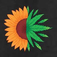 Sunflower Weed Adult Drive Performance Visor
