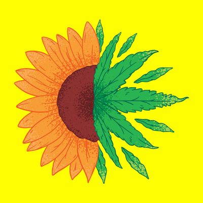 Sunflower Weed T-Shirt