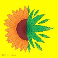 Sunflower Weed Women's V-Neck T-Shirt
