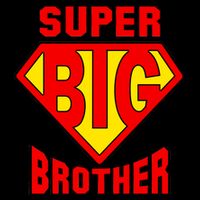 Super Big Brother Premium T-Shirt