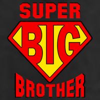 Super Big Brother Hat