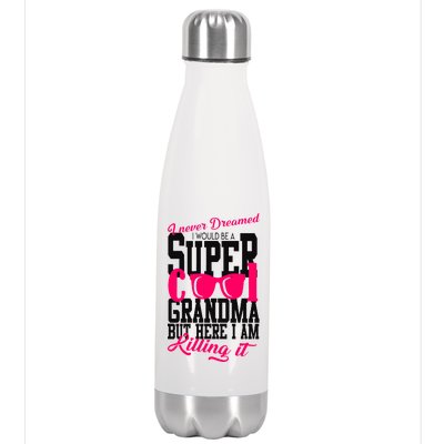 Super Cool Grandma Stainless Steel Insulated Water Bottle