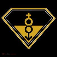 Super Straight Pride Superhero Womens T-Shirt