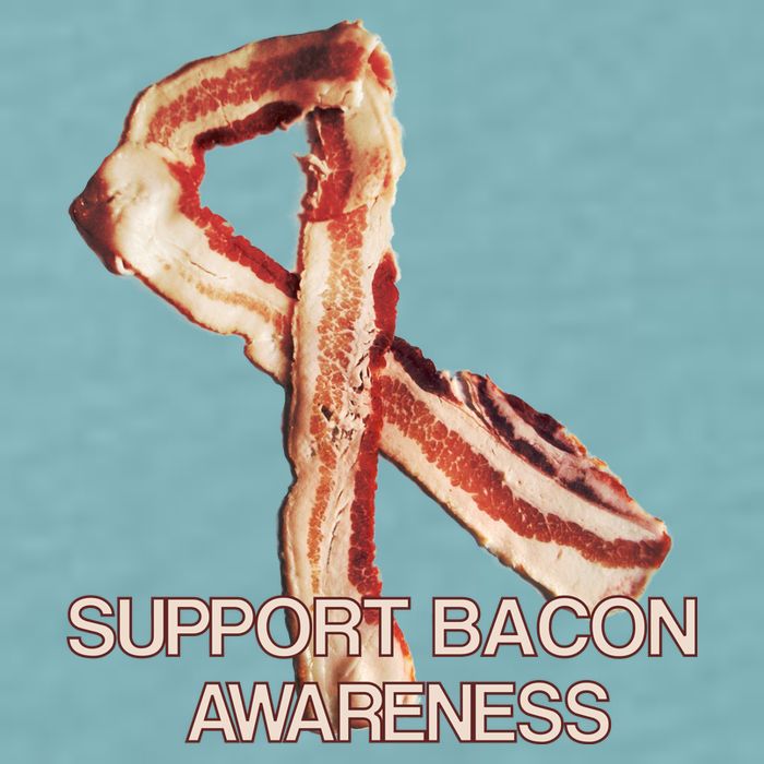 Support Bacon Awareness Sueded Cloud Jersey T-Shirt